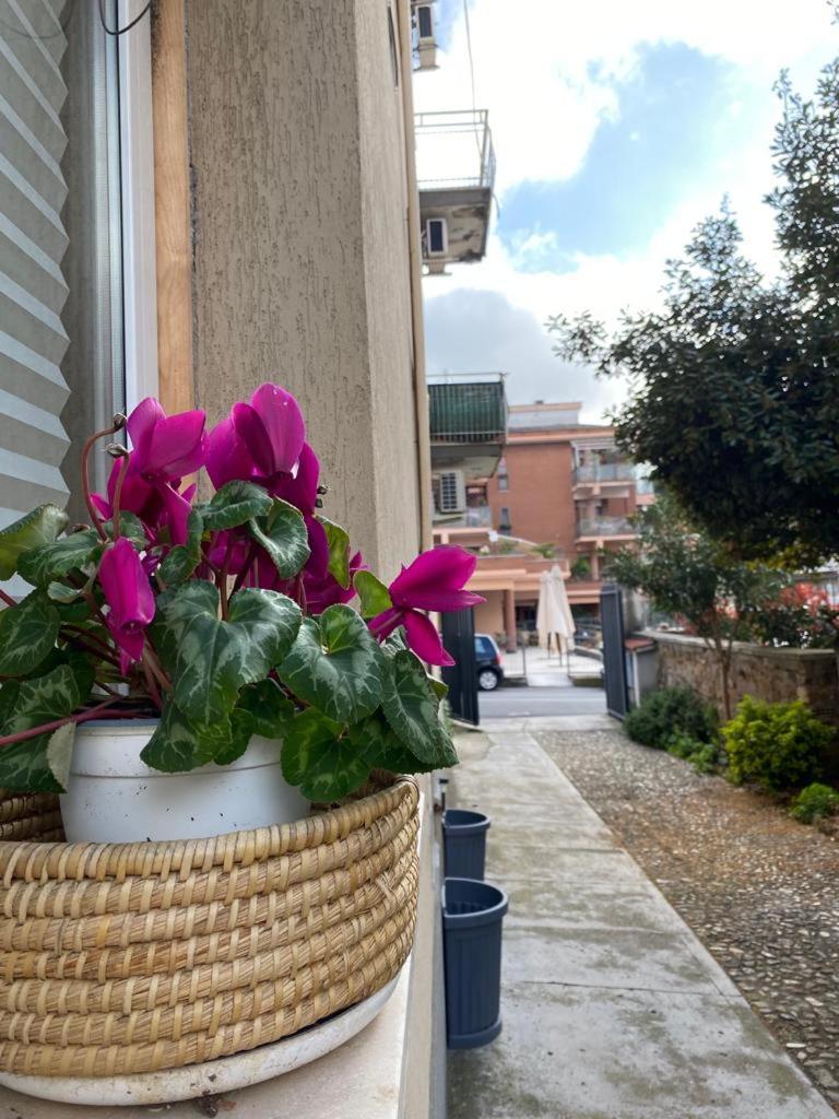 Apartamento Casetta Beatrice In San Pietro Roma